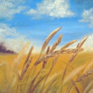 Meet your Posher, Ember